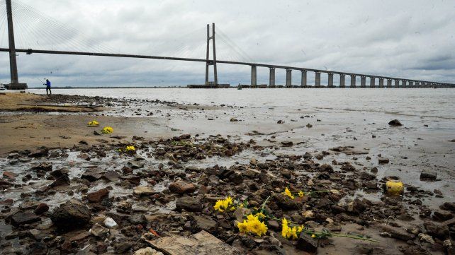 Costa Alta, con el puente de fondo y flores en el lodazal.