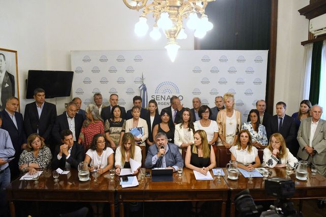 En el peronismo entienden que el DNU debería ser revisado por ambas Cámaras.