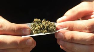 Consumir cannabis hace crecer los senos en los hombres