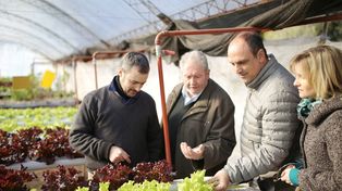Corral: Queremos que estos emprendimientos crezcan porque generan empleo