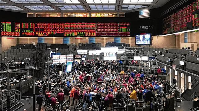 en alza. Los mercados externos impulsaron la cotización local de los granos.