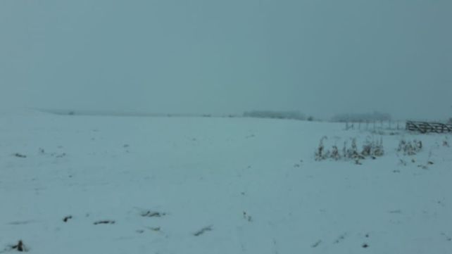 Todo blanco: imágenes de los campos nevados en Córdoba