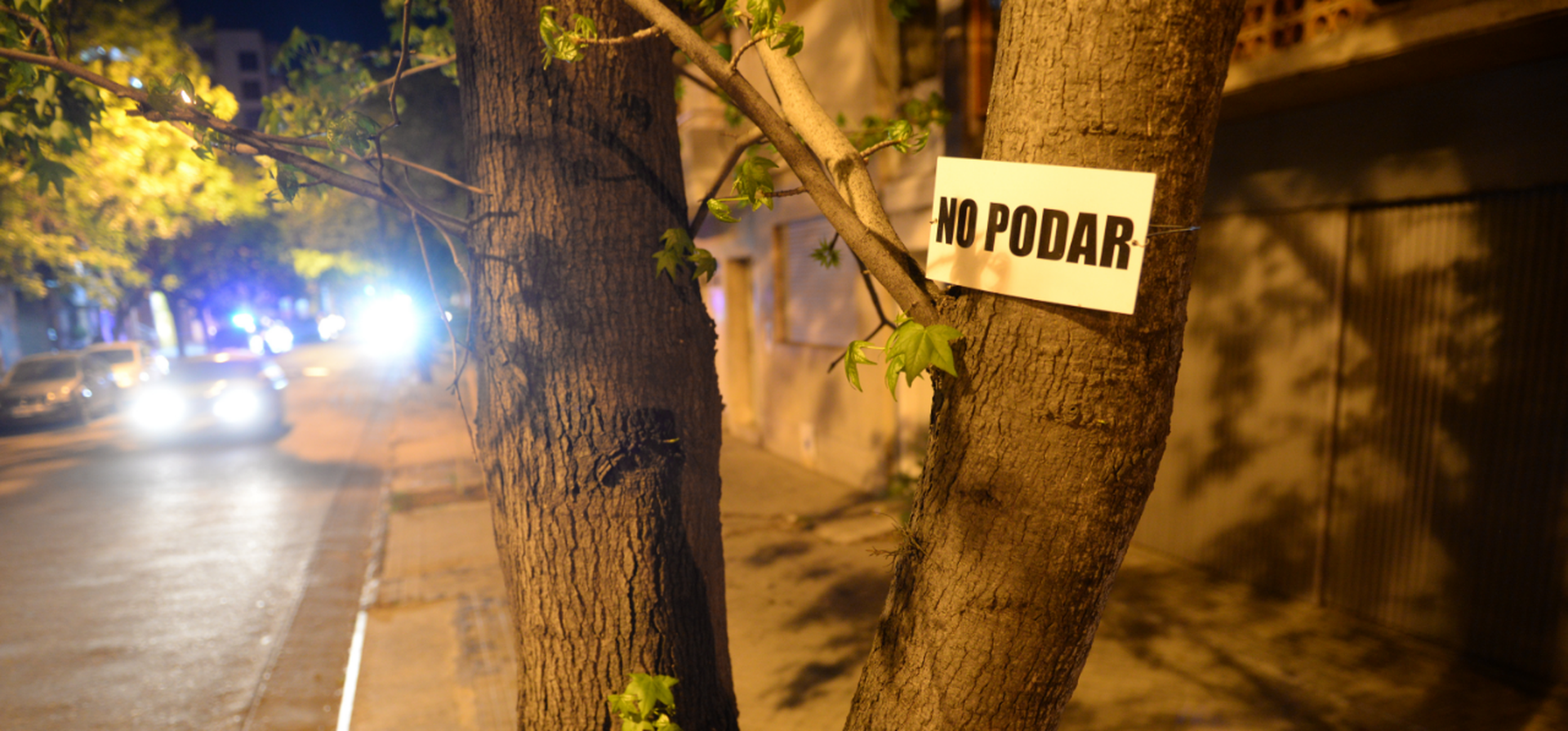 Buscan crear un registro de infractores y reincidentes ambientales