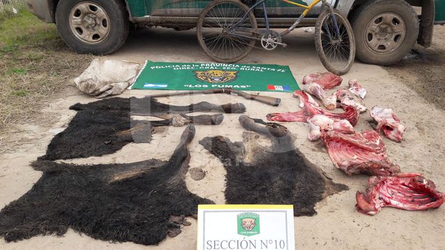 Apresaron a dos cuatreros, le secuestraron un vacuno robado y faenado