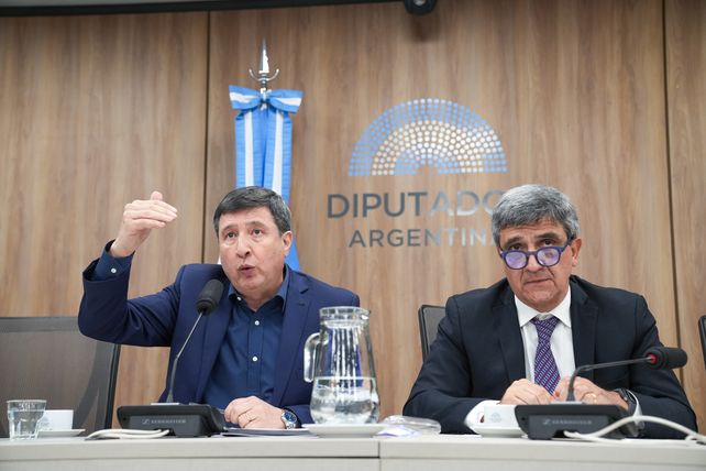 Durante un plenario de comisiones