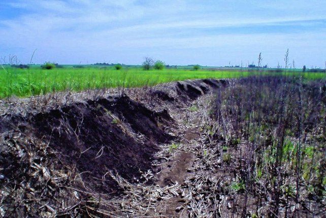 Trabajo del INTA: conservación de suelos en Entre Ríos.