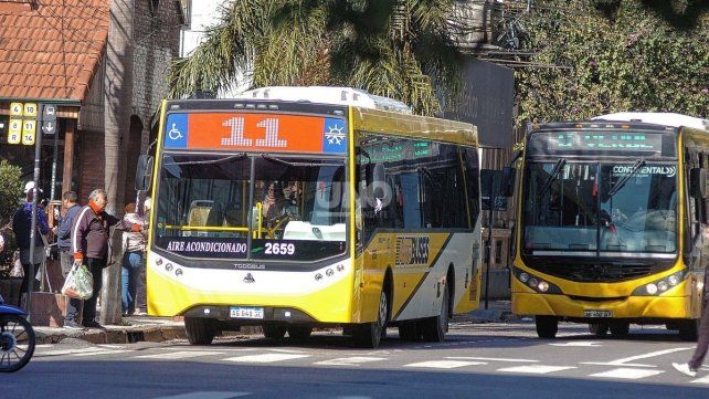 Emergencia en un colectivo: asistieron a un pasajero picado por un alacrán en pleno recorrido Emergencia en un colectivo: asistieron a un pasajero picado por un alacrán en pleno recorrido