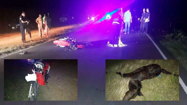 Ruta 11: murieron dos motociclistas tras chocar un equino