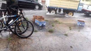 VIDEOS | La lluvia y el viento complicaron la circulación en Paraná