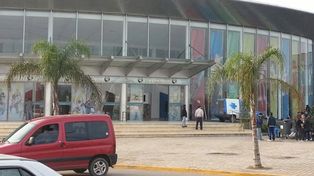 Identifican el virus que causó la muerte de cinco bebés