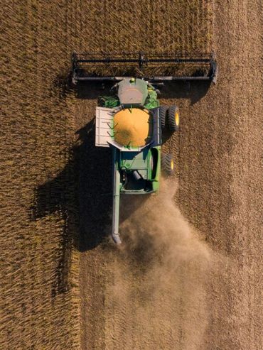 La agroindustria lidera la inserción internacional de la mitad de las provincias argentinas