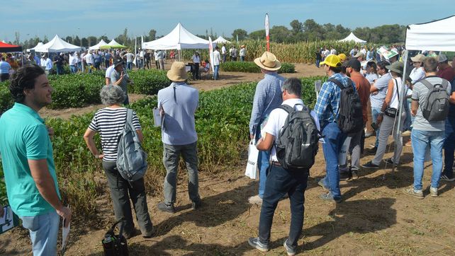 El gobierno avanzó contra organismos de la agricultura famliar.
