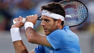 Del Potro avanza en el US Open