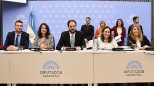 Debate de la Ley de Bases en el plenario de comisiones.