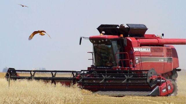 Más producción. La nueva gerencia tiene por objetivo duplicar el nivel de productividad de la empresa.