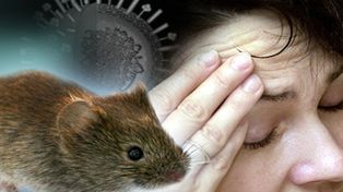 Joven murió en un posible caso de hantavirus en la provincia