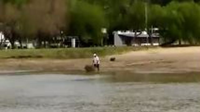 En vez de cuidar, lo siguen contaminando
