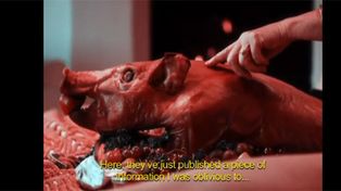 Cristina protagoniza una publicidad que destaca los beneficios afrodis&iacute;acos del cerdo