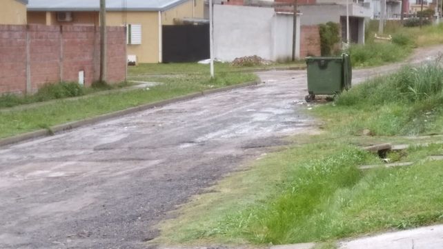 Piden fumigaciones en barrio Los Paraísos