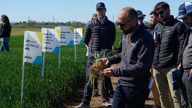 Rizobacter y Bioceres Semillas muestran sus tecnologías a campo