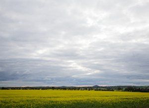 Sequía: el adelanto de las lluvias de primavera permitiría una temprana recarga del suelo