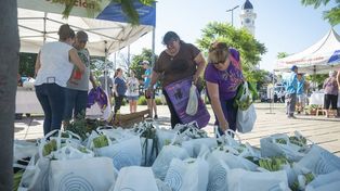 La actividad está enmarcada en el Plan Local de Acción Climática Rosario 2030.&nbsp;