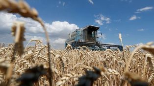 Con fuerte impulso del agro, la actividad económica cerró el año con una suba de 4,4 %