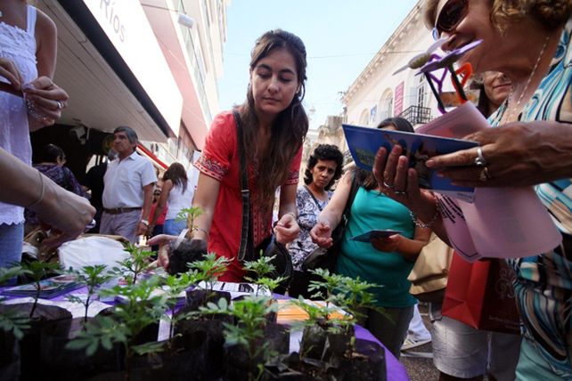 Con una creación colectiva, la ciudad rindió homenaje a sus mujeres