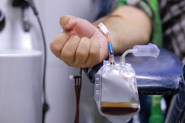La donación de plasma de pacientes recuperados de coronavirus continúa