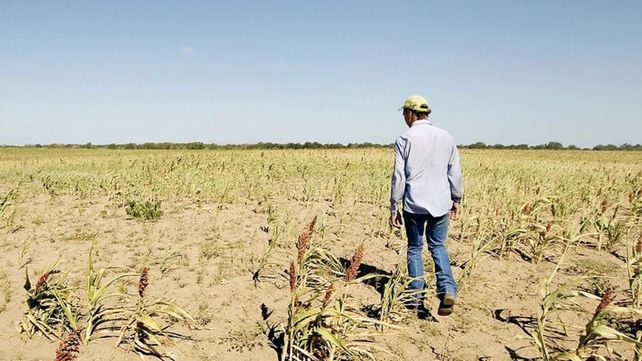 Los productores esperan con ansias las llegadas de precipitaciones para una siembre exitosa de trigo y maíz.