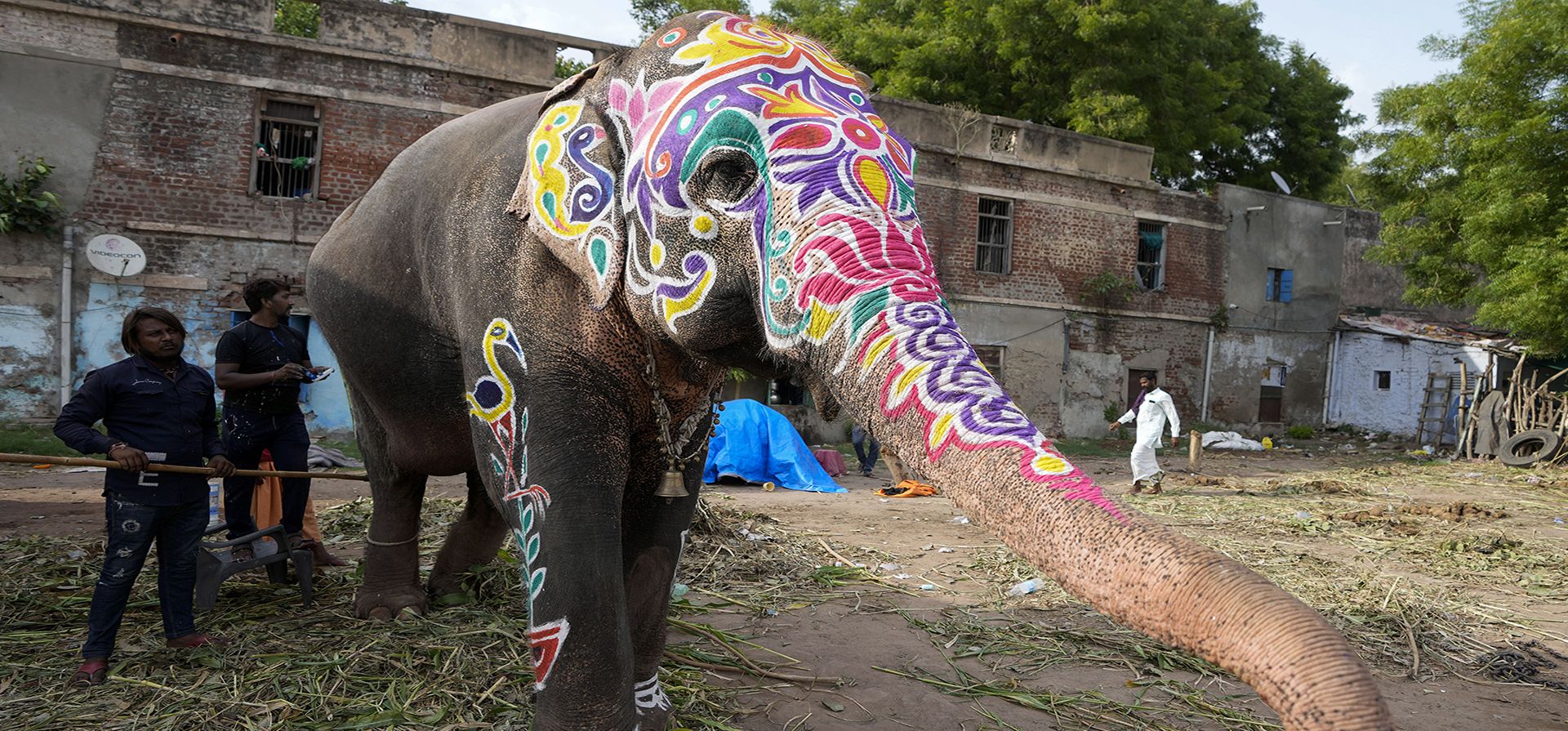 Un elefante pintado con motivos decorativos en preparación del Rath Yatra anual, o la procesión de carros del Señor Jagannath, en Ahmedabad, India, el jueves 30 de junio de 2022.