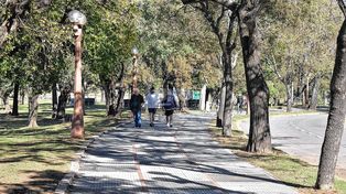 El autor de los abusos sexuales cometió alguno de sus delitos en el Parque del Sur
