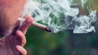 Fumar marihuana provoca daños más graves a los pulmones que el tabaco