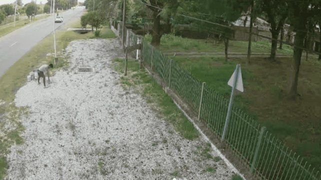 Las cámaras de seguridad captaron el momento en el que una persona roba elementos de la puerta de la casa de Mario Pereyra.