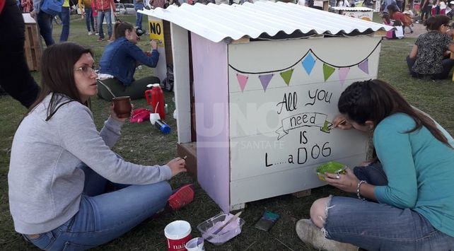 Artistas santafesinos intervinieron cuchas para perros de la calle