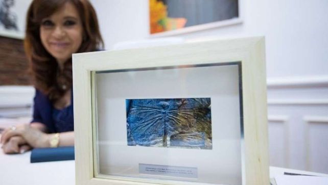 Argentinala Cristinae: dos científicos del Conicet bautizaron a un insecto en honor a Cristina Kirchner