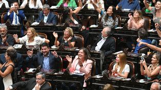 Diputados logró convertir en ley una nueva moratoria previsional