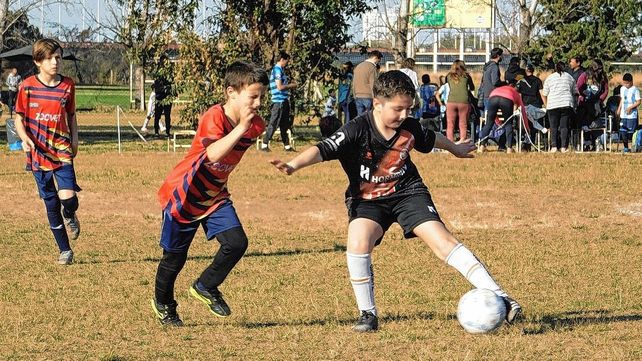 Fútbol infantil: AFA