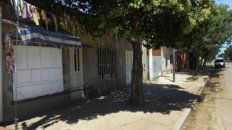 Granadero Baigorria. La municipalidad sale a relevar el estado de los ejemplares públicos. Granadero Baigorria. La municipalidad sale a relevar el estado de los ejemplares públicos.