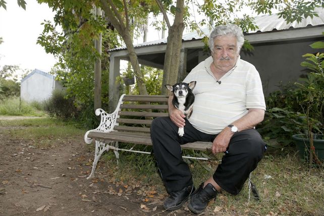 Pepe Mujica les advierte a los argentinos que van a vivir a Uruguay: Van a salir esquilados