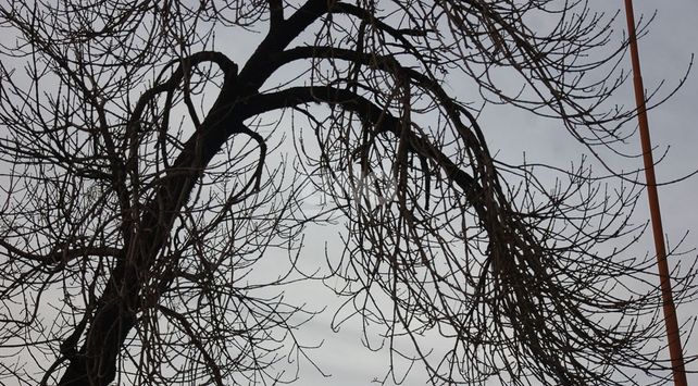 Imagen ilustrativa// FOTO: José Busiemi.