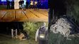 Gendarmería secuestró 941 kilos de marihuana de un cargamento abandonado a la altura de Berna en el norte santafesino