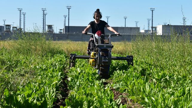 Innovación en pequeña escala: diseño joven para la maquinaria agrícola