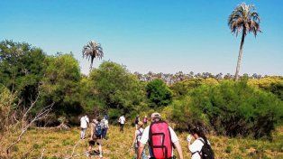 El Palmar recibe visitantes todo el año