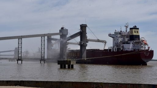 Las exportaciones del complejo sojero aumentarán 125% en 2024