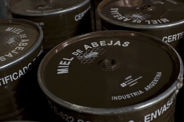 Las exportaciones de miel registraron un aumento interanual del 29%