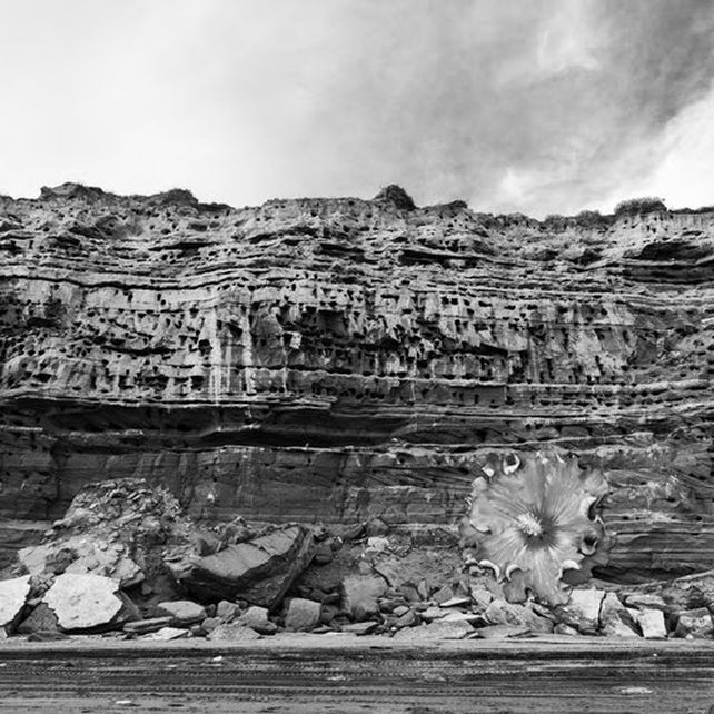 La costa de Río Negro en la tapa del artista nacido en Viedma.
