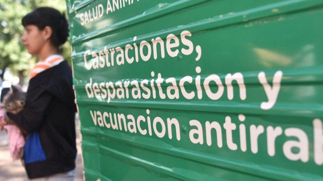 El Imusa lanzará una campaña de castración en la Vecinal Centenario