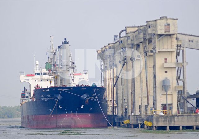 Foto: M. Testi / D. UNO