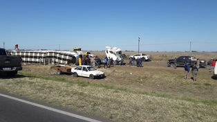 Volcó un camión con hacienda en Miguel Torres y decenas de vecinos se agolparon en el lugar en busca de un poco de carne.